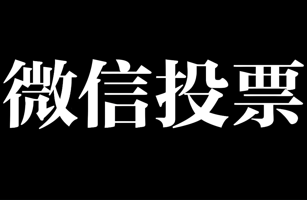 如何保障投票活动数据的安全性和准确性？